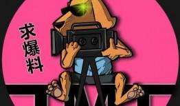 吃瓜观望,吃瓜群众视角下的娱乐圈风云