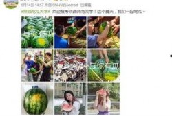 学校墙吃瓜,揭秘校园里的那些“秘密”