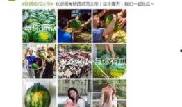 学校墙吃瓜,揭秘校园里的那些“秘密”