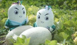 吃瓜之缘,揭秘娱乐圈背后的故事与情感纠葛