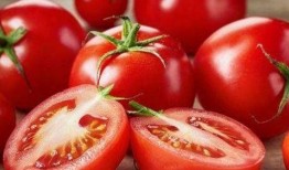 番茄小说吃瓜直播文,番茄小说中的娱乐圈风云录