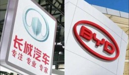 长城比亚迪吃瓜群众,吃瓜群众视角下的汽车巨头对决