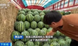 瓜瓜吃瓜情节,揭秘娱乐圈幕后风云