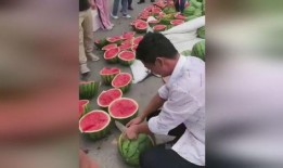 吃瓜总裁喂西瓜,一场瓜果间的浪漫邂逅