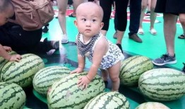 吃瓜护国,揭秘网络舆论背后的爱国情怀