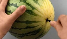 用筷子吃的瓜,探寻中国饮食文化的独特魅力