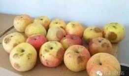 吃瓜视频厦门,揭秘美食背后的故事