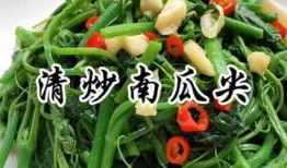 吃方瓜尖的好处,揭秘食用益处与养生之道