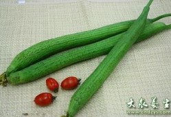 吃瓜败火,吃瓜败火，养生之道