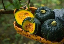 小栗子吃瓜,揭秘娱乐圈那些不为人知的幕后故事