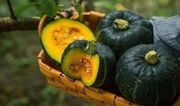 小栗子吃瓜,揭秘娱乐圈那些不为人知的幕后故事