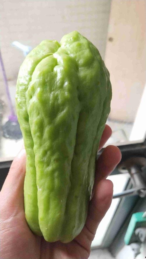 福寿瓜尖怎么吃,解锁美味新境界